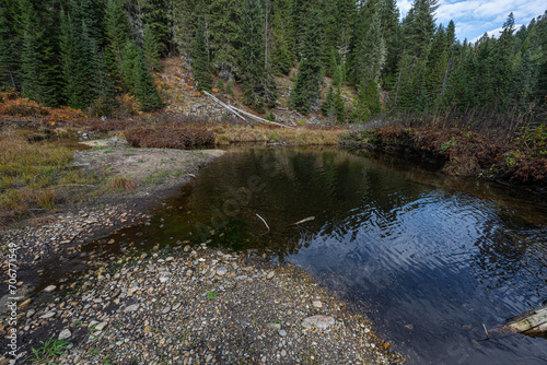 Canvas Print Hobo Creek in Northern Idaho