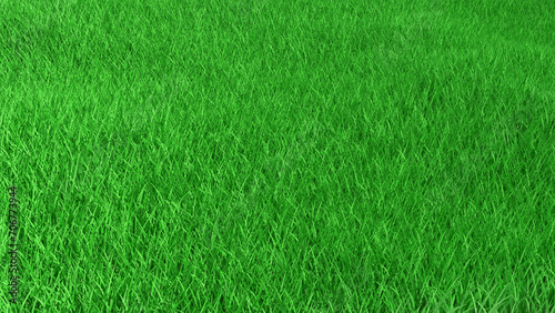 Grass field green meadow or lawn natural background texture with copy space. 3d rendered illustration. Spring or summer landscape environment design template. Sports field for football, soccer or golf