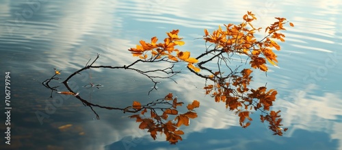 Fototapeta Naklejka Na Ścianę i Meble -  Three branches in the lake and reflections of the trees at autmn season Long exposure image. with copy space image. Place for adding text or design