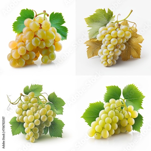 Grapes collection isolated on a white background.