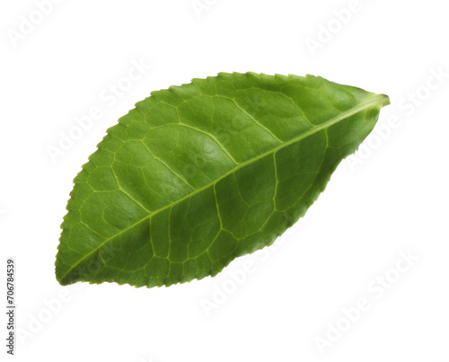 Fresh green tea leaf isolated on white