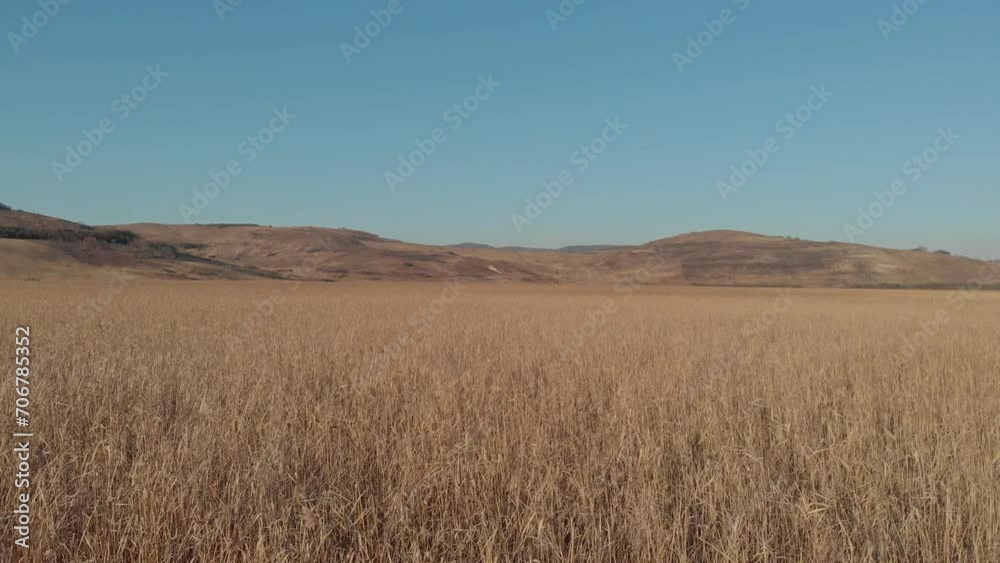 View Over The Agriculture Rural Field At Sunset 4k View Over The Agriculture Rural Field At Sunset 4k
