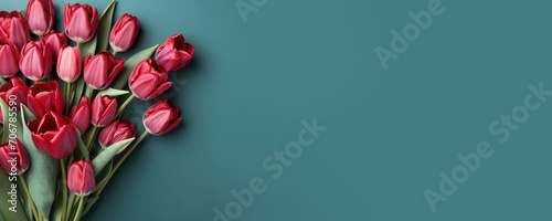 Horizontal banner with copyspace. Bouquet of red tulips on dark green pine background. Concept of gift for woman lover, wife, sister, beloved, girlfriend, mother, daughter on March 8, Valentine's day