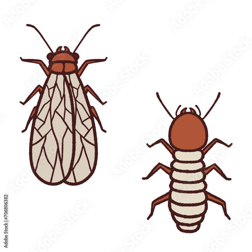 リアルなシロアリのイラスト