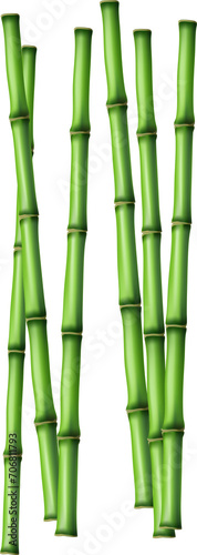 Fototapeta Naklejka Na Ścianę i Meble -  Bamboo tree leaf, plant stem and stick. Bamboo green and brown decoration elements in realistic style. transparent, png