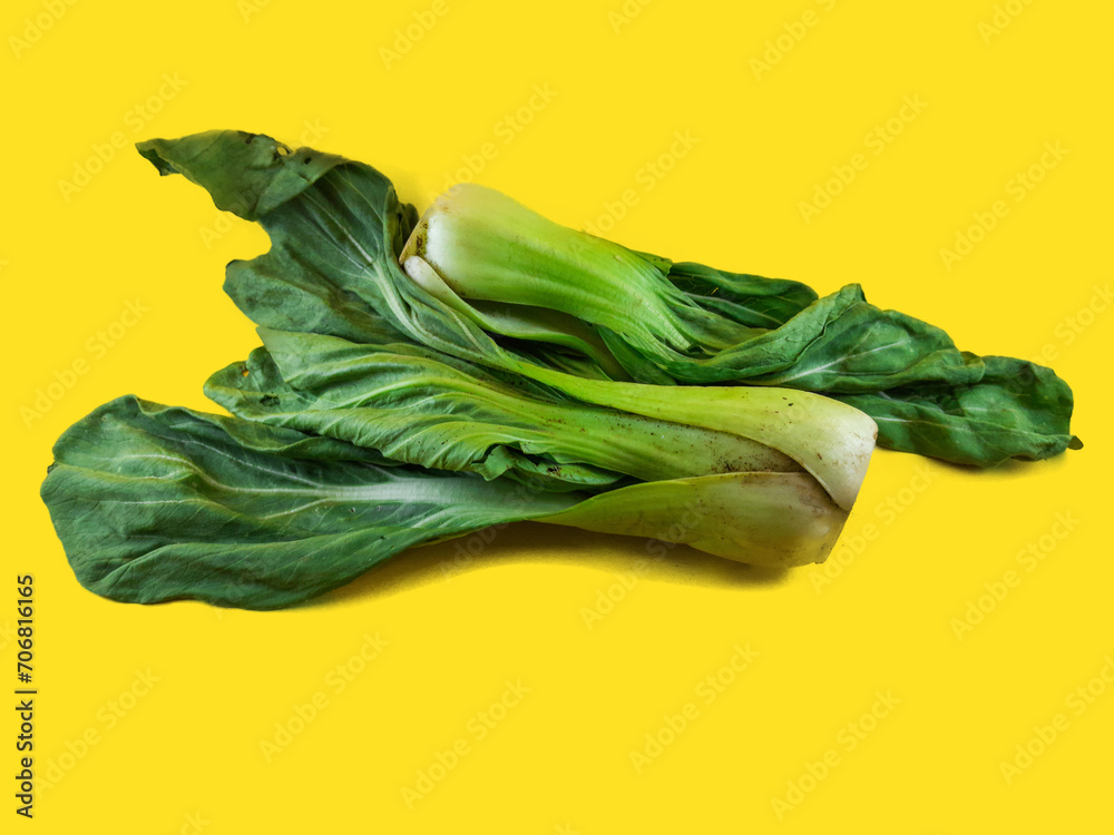 close up shot of green bok choy or chinese cabbage vegetables on isolated yellow background. - obrazy, fototapety, plakaty 