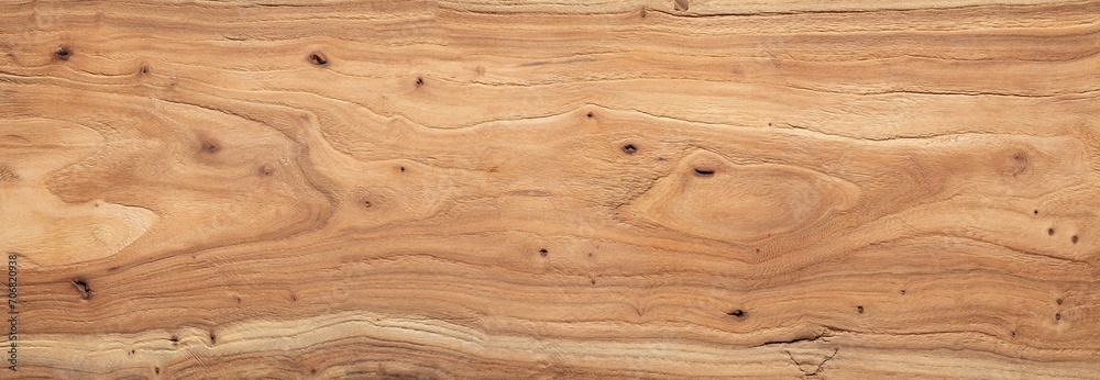 Fototapeta premium Elm wood texture. Extra long elm planks texture background. Wide abstract texture background. 