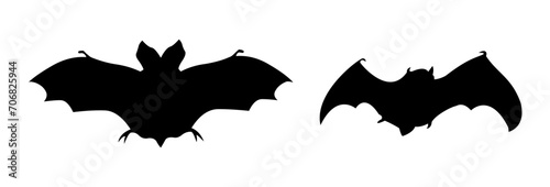 bat silhouette photo