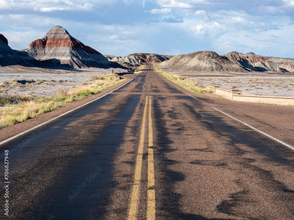 Road going through badlands at Petrified Forest National Park - Arizona, USA