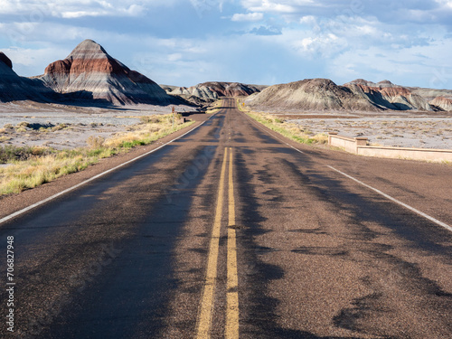 Road going through badlands at Petrified Forest National Park - Arizona, USA