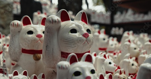 Lucky cat, religion and Shinto shrine in nature, trees and forest with wish, faith or culture environment. Animal, toys and temple for statue, worship or Buddhism with icon, symbol or wave in Japan