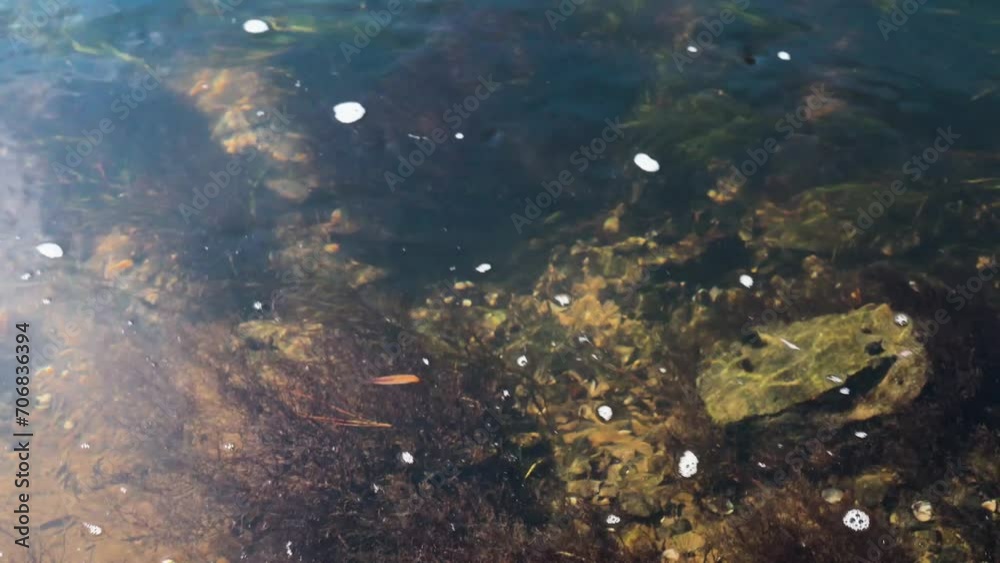 Close up clear running water Coosawattee River Ellijay Georgia 4k Close up clear running water Coosawattee River Ellijay Georgia 4k
