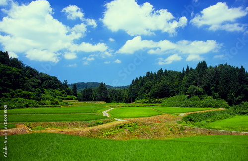 Wallpaper Mural 青い空に白い雲どこまでも長閑な田園風景 Torontodigital.ca
