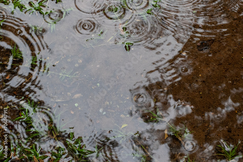 Patterns and movement created by rain on the surface of a small puddle outside