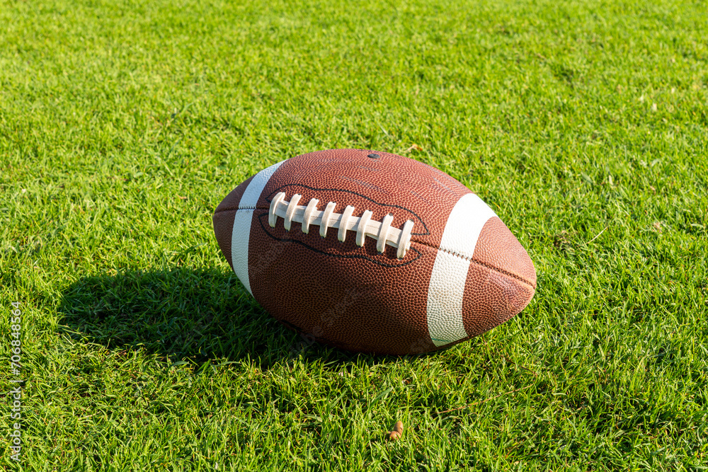 Rugby ball on a patch of grass. a national sport in the United States of America. Rugby ball on a patch of grass. a national sport in the United States of America.