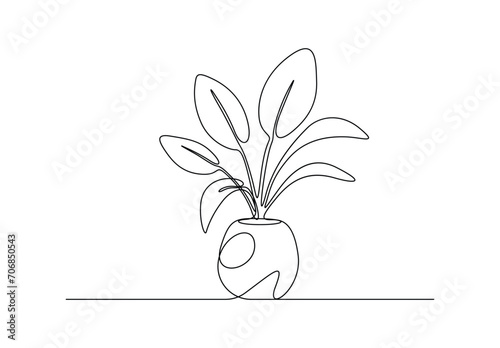 Continuous single line drawing of a flower. Isolated on white background vector illustration. Pro vector.