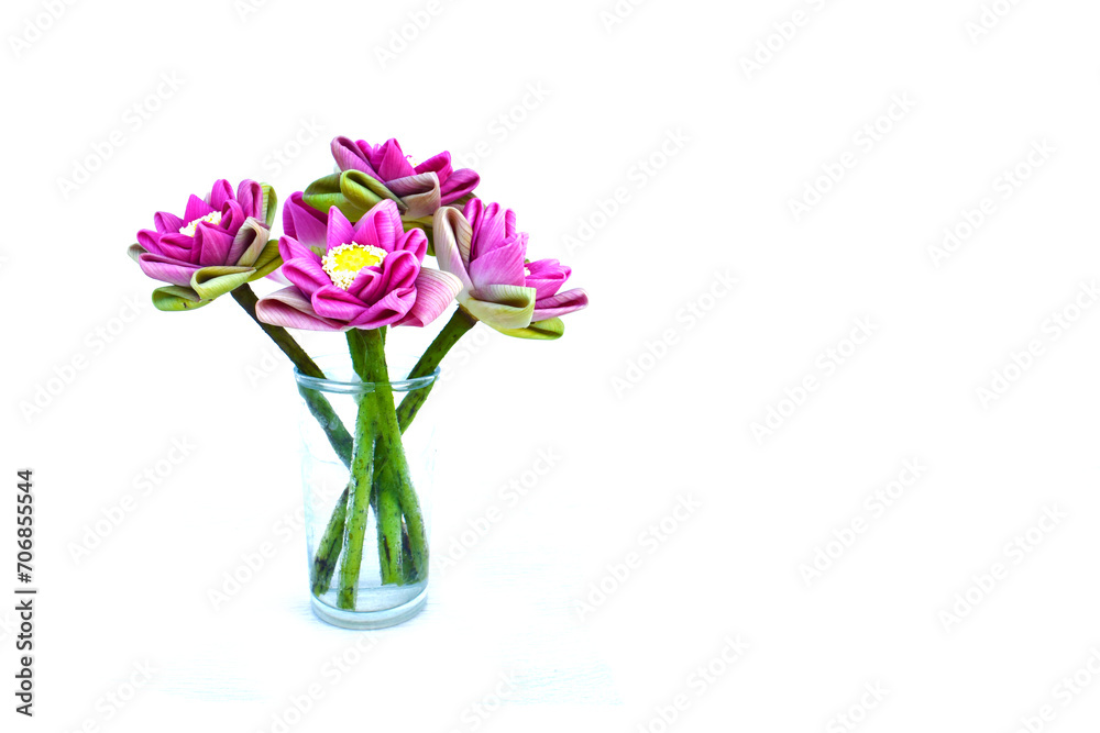Naklejka premium pink lotus