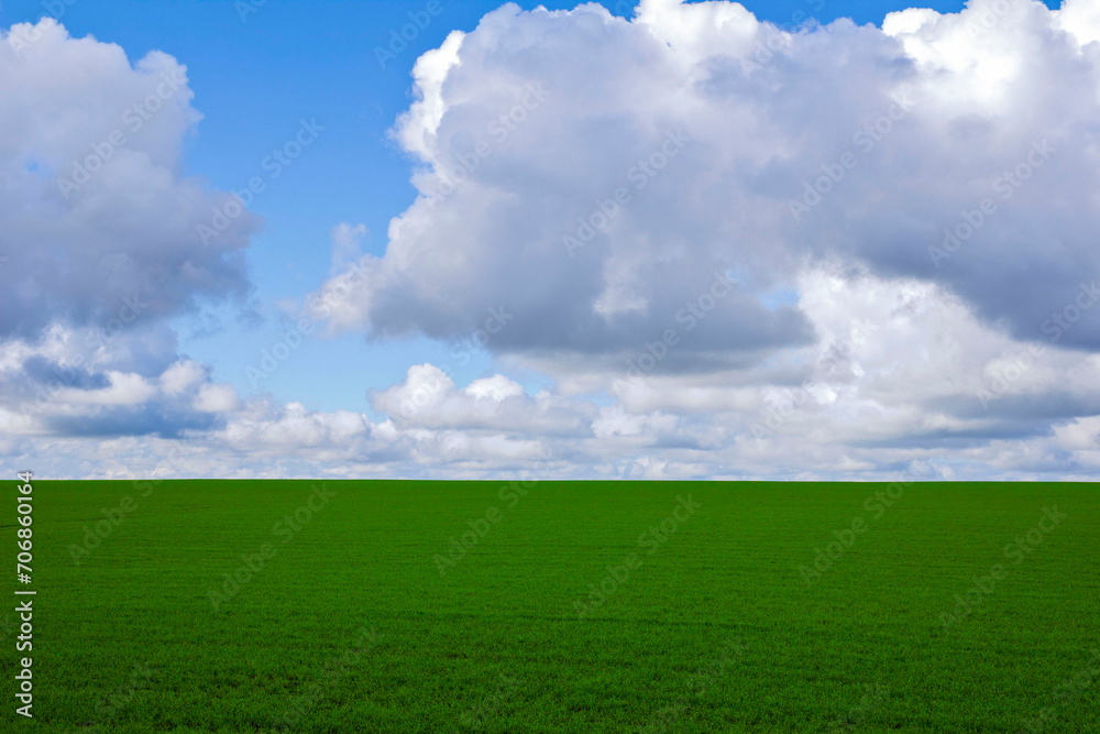 green field blue sky clouds on a summer day green field blue sky clouds on a summer day