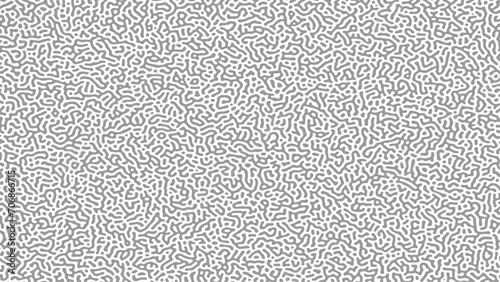 Black and white turing pattern. vector image. Abstract turing organic wallpaper background photo