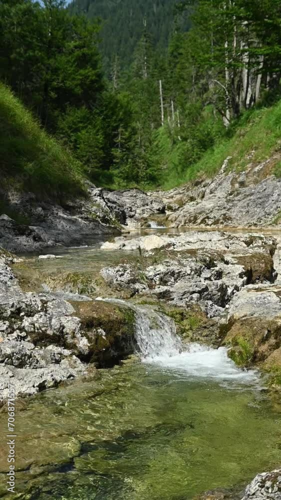 Vertical shot of a beautiful mountain stream in summer, with a small waterfall and a pond in the foreground and greens in the background, slow motion Vertical shot of a beautiful mountain stream in summer, with a small waterfall and a pond in the foreground and greens in the background, slow motion