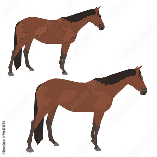 Vector brown horse stands isolated on white background
