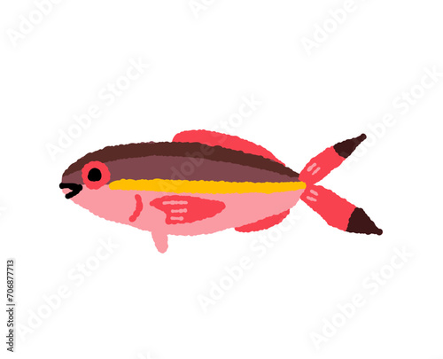 赤いグルクン【タカサゴ】の手描きイラスト