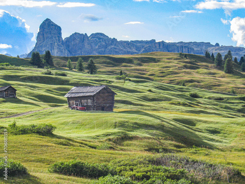 scenic view to the dolomites and the green landscape with cows resting at the meadow in the Alps