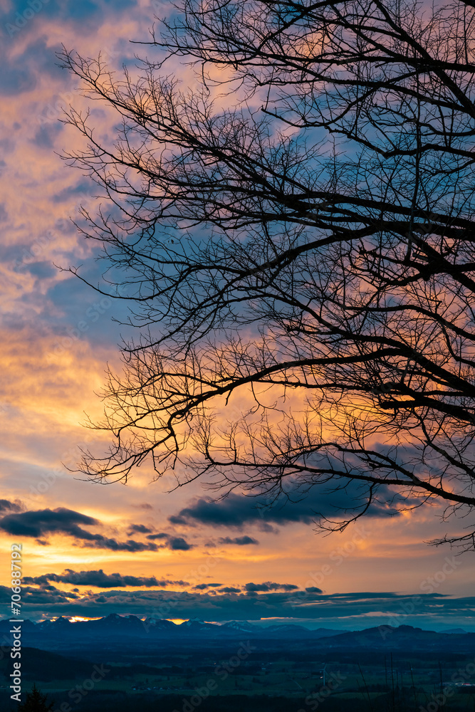 Silhouette eines Baums vor dem Alpenpanorama vom Hohenpeißenberg bei Sonnenuntergang, Bayern, Deutschland Silhouette eines Baums vor dem Alpenpanorama vom Hohenpeißenberg bei Sonnenuntergang, Bayern, Deutschland