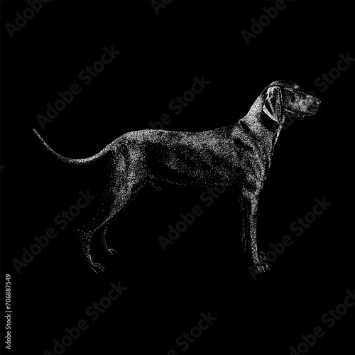 Redbone Coonhound hand drawing vector isolated on black background. photo