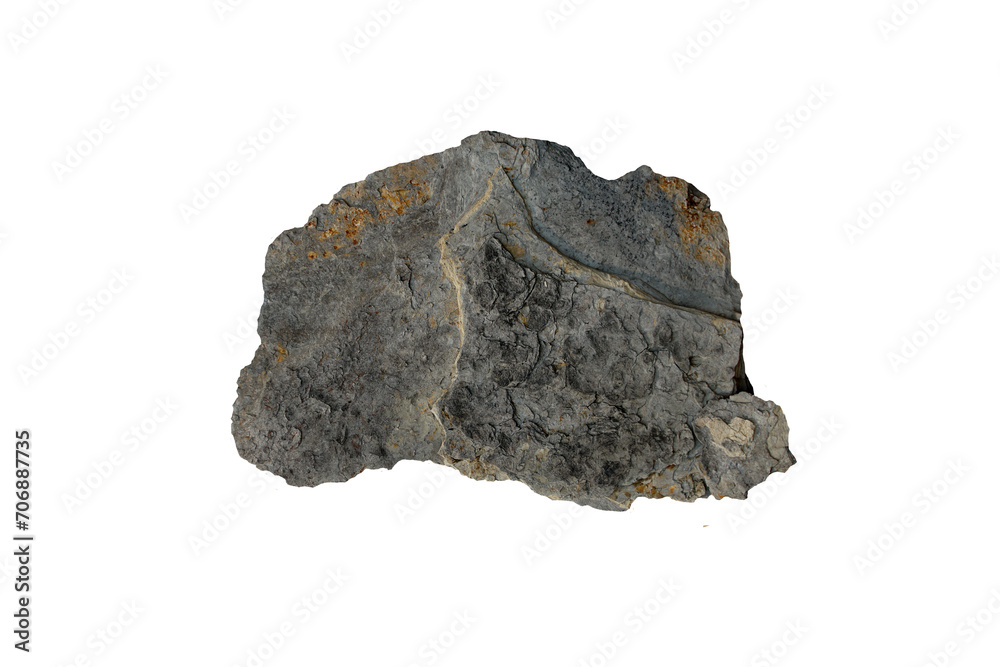 Oil shale isolated on white background