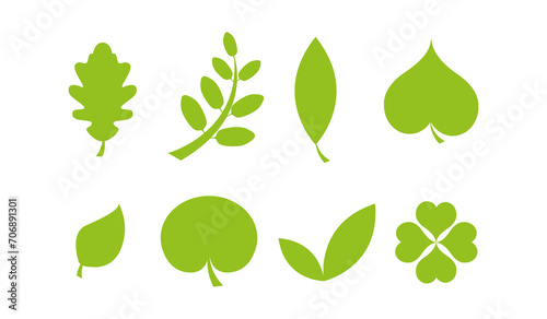 Set of various tree leaves. 