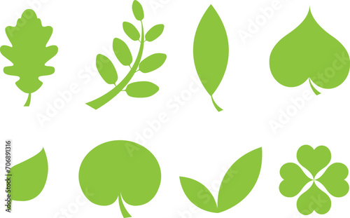 Set of various tree leaves. Collection of vector illustrations