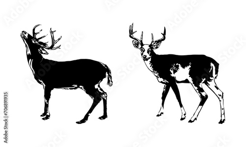 Deer Animal SVG Graphic Design