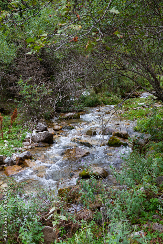 bubbling mountain stream with clear water bubbling mountain stream with clear water