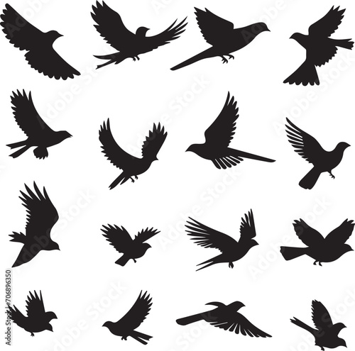 Set of black birds silhouette on white background 