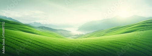green field of grass in blurred light © olegganko