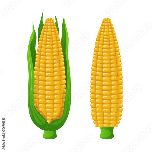 Corn. Vector 3D clipart isolated on white background.