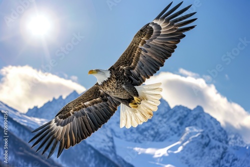Majestic eagle soaring high above the mountains
