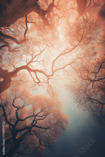 Blurred, mystical, natural background of trees. Bottom view