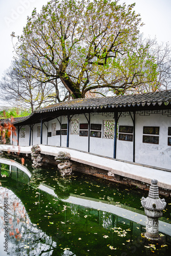 Suzhou, China: Humble's administrator Garden photo