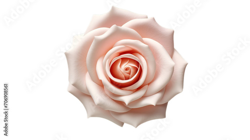 Rose Day isolated on transparent background, Generative ai.