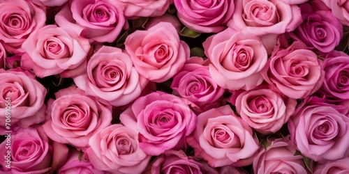 City Elegance Blooming Pink Roses