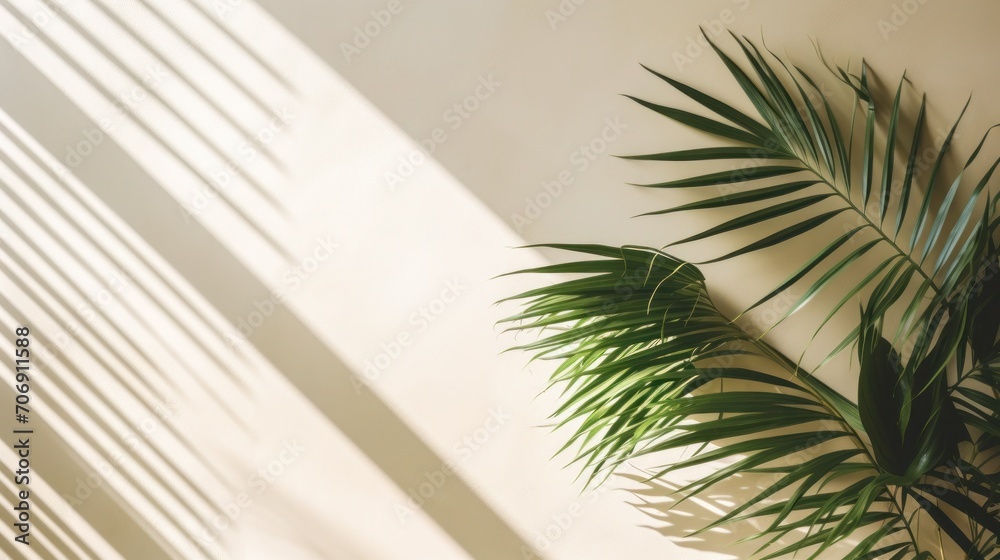 Tropical leaves shadow shade reflected on minimal wall background Tropical leaves shadow shade reflected on minimal wall background