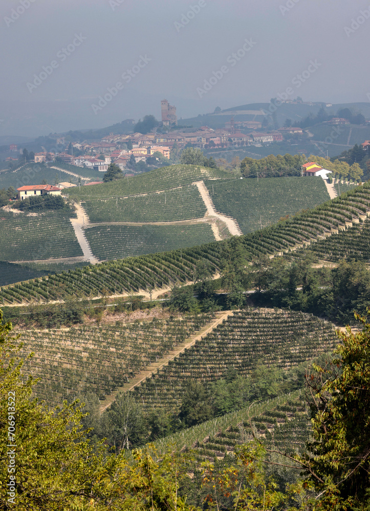 Langhe vineyards near Barolo and La Morra, Unesco Site, Piedmont, Italy