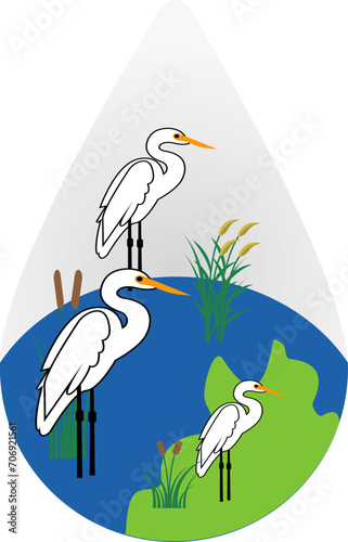 world wetlands day