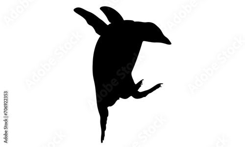 Fototapeta Naklejka Na Ścianę i Meble -  silhouette of flying penguin