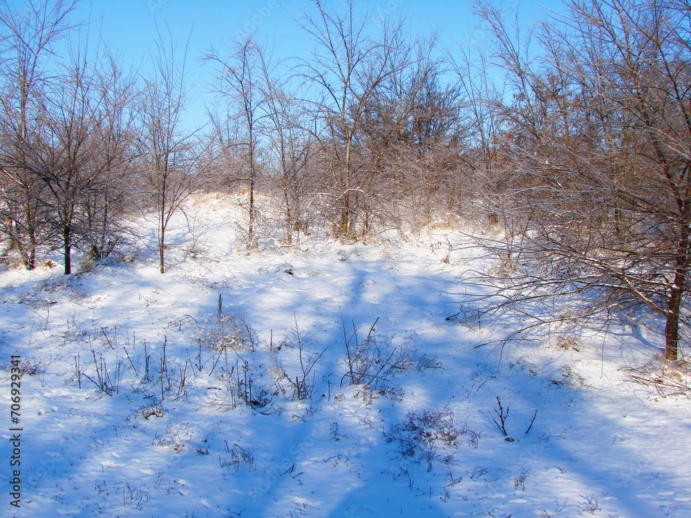 A unique natural picture of a combination of pure sky blue colors and a bright white snow carpet covering the foot of the steppe forest strip. A unique natural picture of a combination of pure sky blue colors and a bright white snow carpet covering the foot of the steppe forest strip.