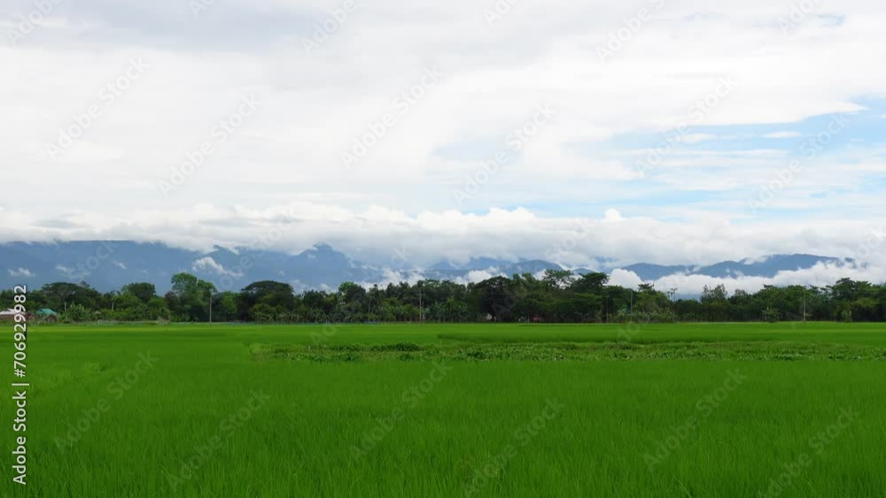 Green cropland under the mountain and clouds. Beautiful landscape scenery of Sunamganj, Bangladesh. Green cropland under the mountain and clouds. Beautiful landscape scenery of Sunamganj, Bangladesh.