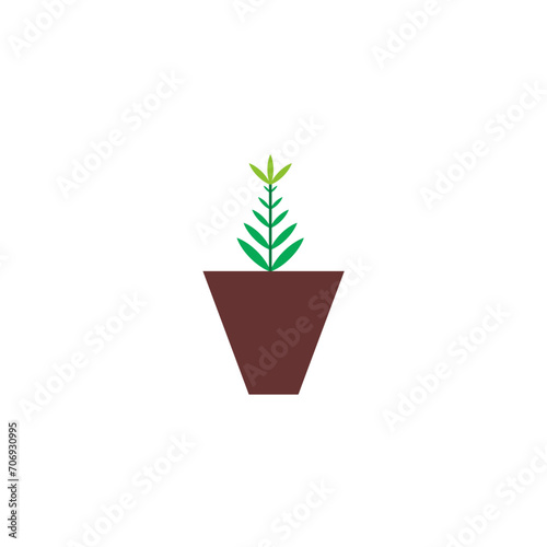 plants with brown flower pots garden