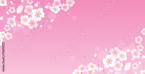 春の桜の花びら背景